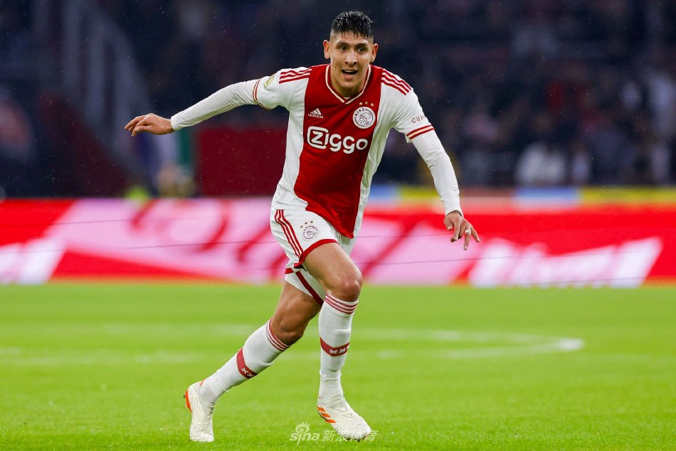 培养和新赞 培养和新赞