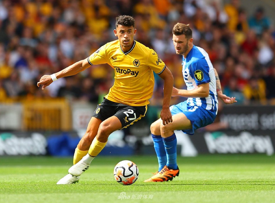 抓住反击机 抓住反击机